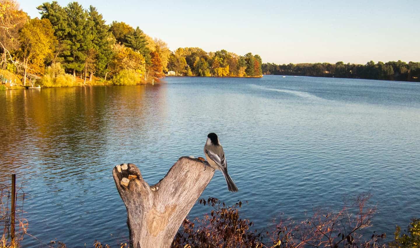 Lake Chippewa