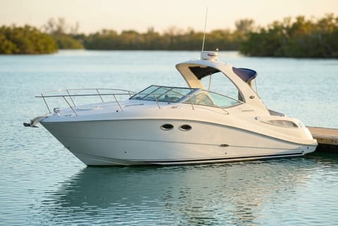 2007 Sea Ray 290 Sundancer cruiser boat for sale in Sarasota, FL