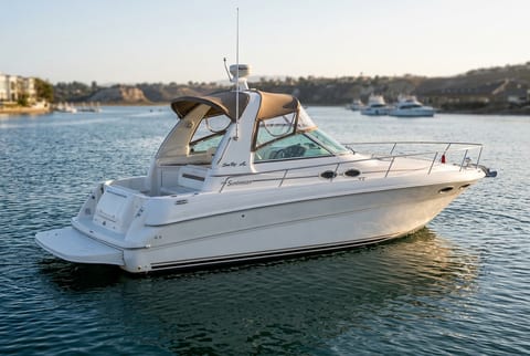 Sea Ray Sundancer 310 cruiser boat