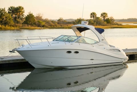 1993 Sea Ray 290 Sundancer cruiser boat for sale in Jacksonville, FL