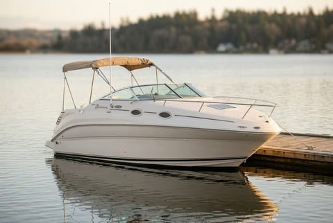 2004 Sea Ray 240 Sundancer cruiser boat for sale in Seattle, WA