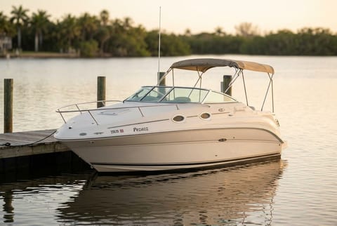 2007 Sea Ray 240 Sundancer cruiser boat for sale in Fort Lauderdale, FL