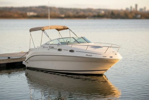 2008 Sea Ray 240 Sundancer cruiser boat for sale in Toronto, ON