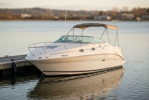 2006 Sea Ray 240 Sundancer cruiser boat for sale in Huron, OH