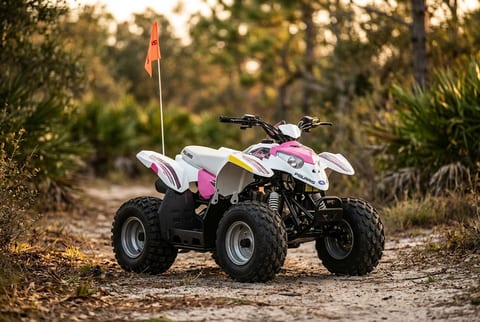 Polaris Outlaw 50 ATV