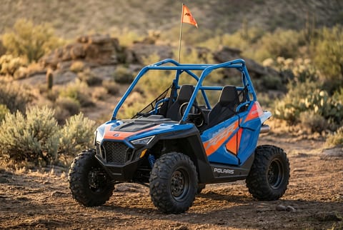 Polaris RZR 200 EFI Troy Lee Designs Edition side-by-side