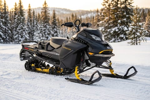 Ski-Doo Expedition Xtreme snowmobile