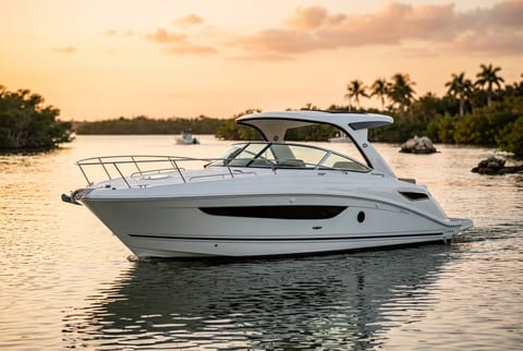 Sea Ray Sundancer 350 cruiser boat