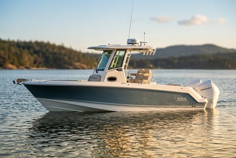 Boston Whaler 250 Outrage saltwater fishing boat