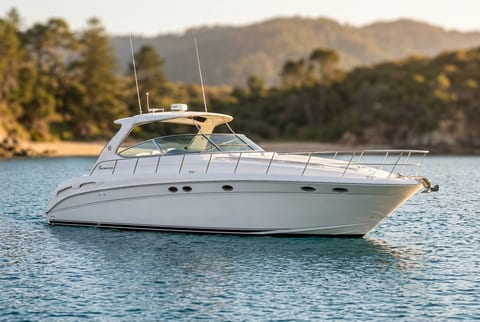 Sea Ray Sundancer cruiser boat