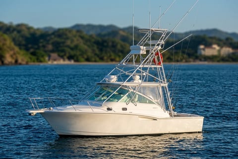 Cabo 35 Express saltwater fishing boat